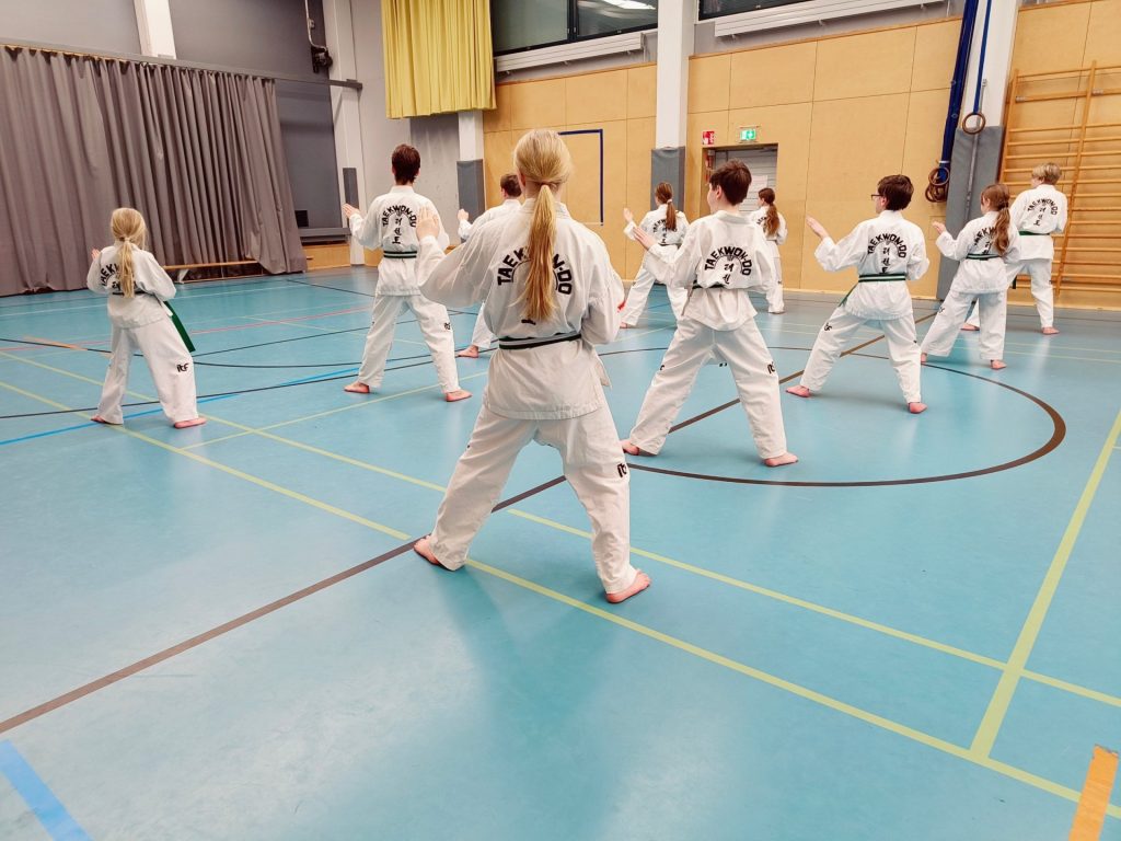 เทควันโดสเปนกับระบบลีกและการแข่งขันภายในประเทศ