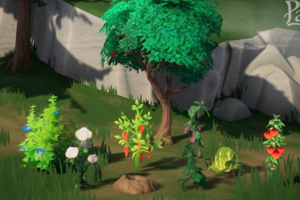 ไอเทมหายากใน Palia หาได้จากไหน (พร้อมเทคนิคฟาร์มแบบมือโปร)